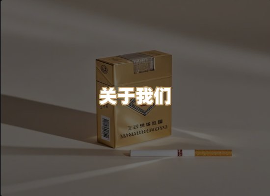 关于御龙烟网